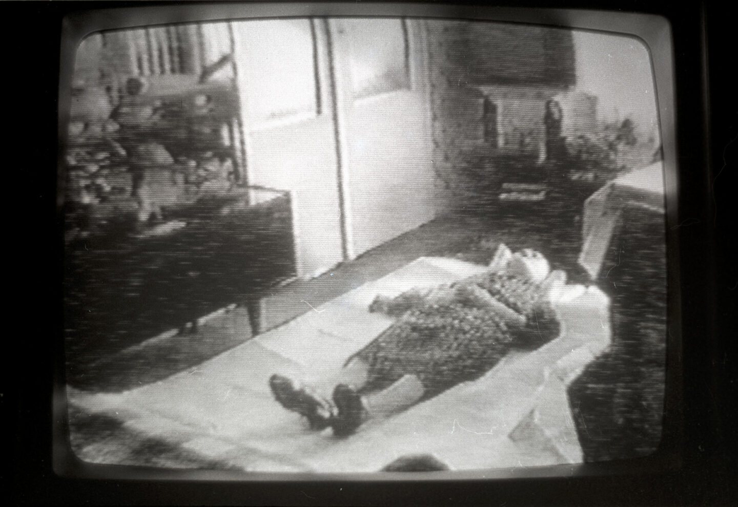 <span class="tytul">Regina po-śmiertna</span> <div class="block-podtytul"><span class="dquo">„</span>Trup babki” (1986) Zbigniewa Libery a&nbsp;fotografia martwego ciała</div>