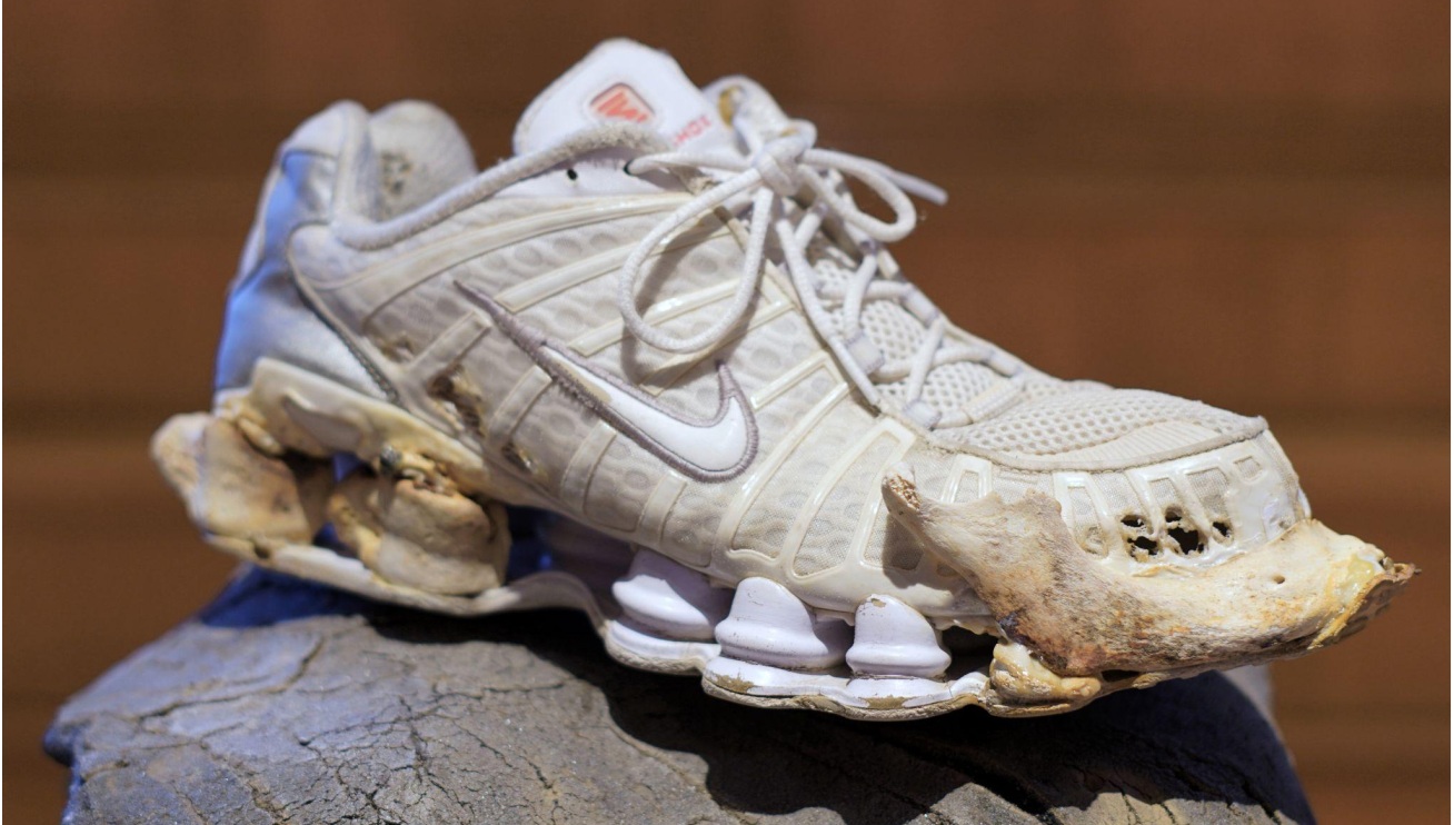 <span class="tytul">Bio art bez natury</span> <div class="block-podtytul">O sztuce Marka Wodzisławskiego</div>